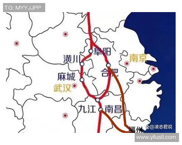 南京网球队实力深度解析与对比分析