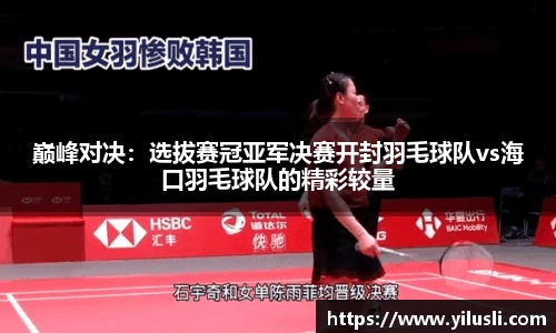 巅峰对决：选拔赛冠亚军决赛开封羽毛球队vs海口羽毛球队的精彩较量